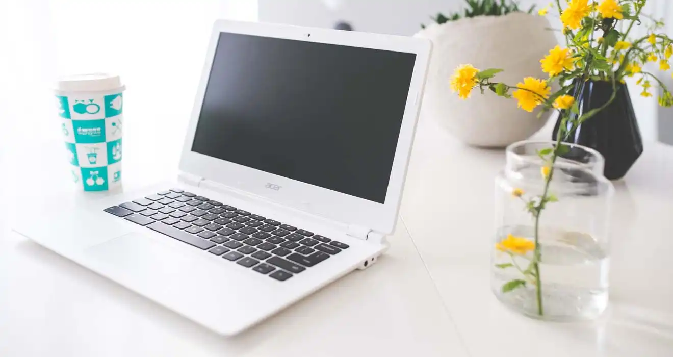 Ремонт ноутбуков Acer в Котельниках